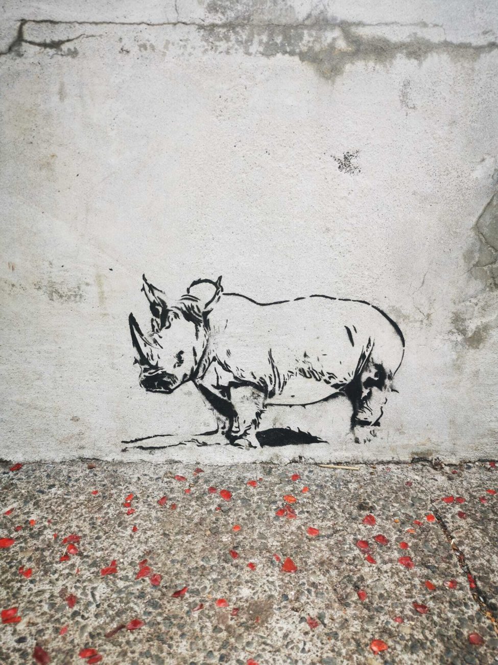 Concours #MonBarachois